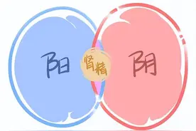 精血才是人的命根子，教你两味药，一味补精，一味补血，阴阳同调图片