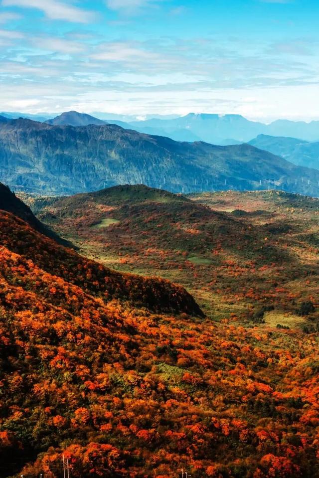 秋天还没过够？那就去乐山留住秋天！