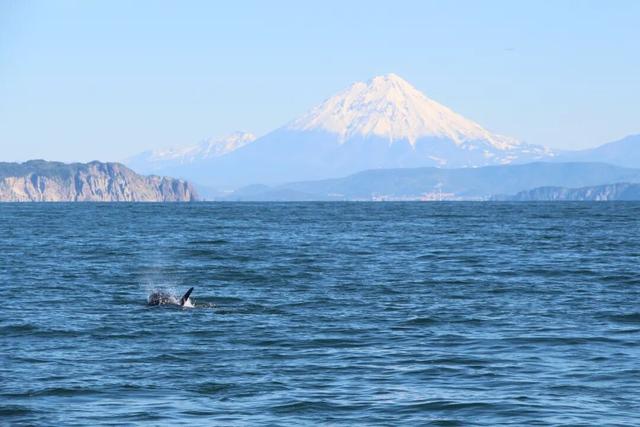 俄罗斯免签，即刻生效！最全攻略来了！