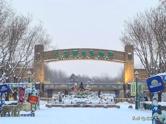 大兴初雪倒计时！5个宝藏赏雪点位，提前收藏——