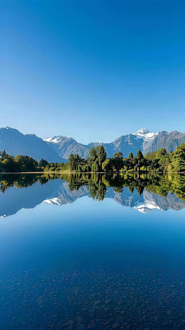 手机壁纸精美图片(162)