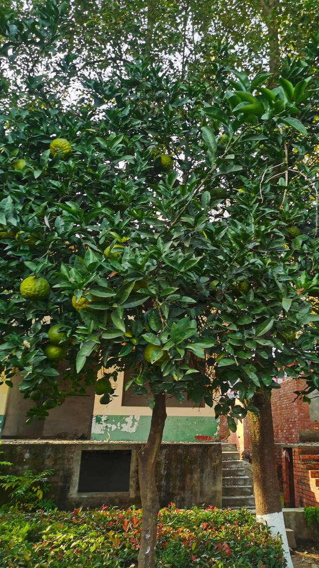 汉江野趣赋—陕西省安康市汉江探访四