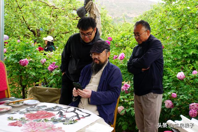 中国紫斑牡丹的故乡临洮曹家坪牡丹进入盛花期
