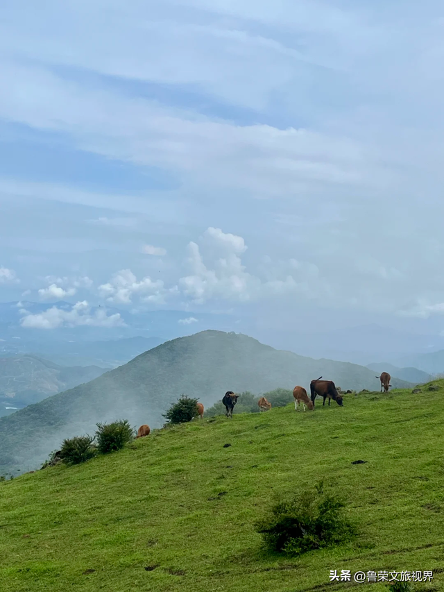 隐匿在广东的冬日秘境：恩平，一座20℃暖冬里的温柔小城
