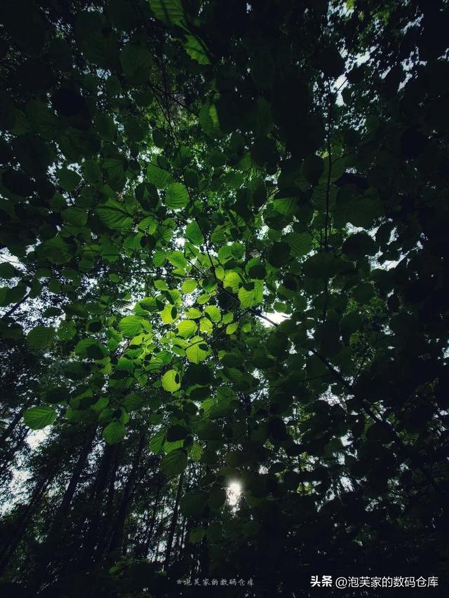 索尼/尼康用户有福了！腾龙16-30mm F2.8体验 轻量风光视频必备
