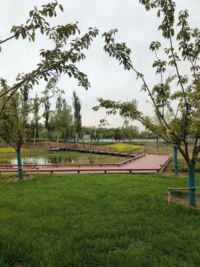 天津《柳林公园》