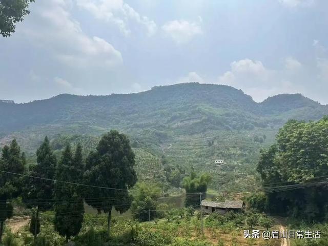 眉山东坡区藏了个神仙小镇！天空之镜、荷花、天梯、古戏台…