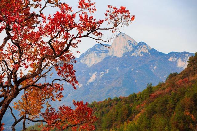 秋冬季适合去的7个地方，小住三五天，给自己放个假