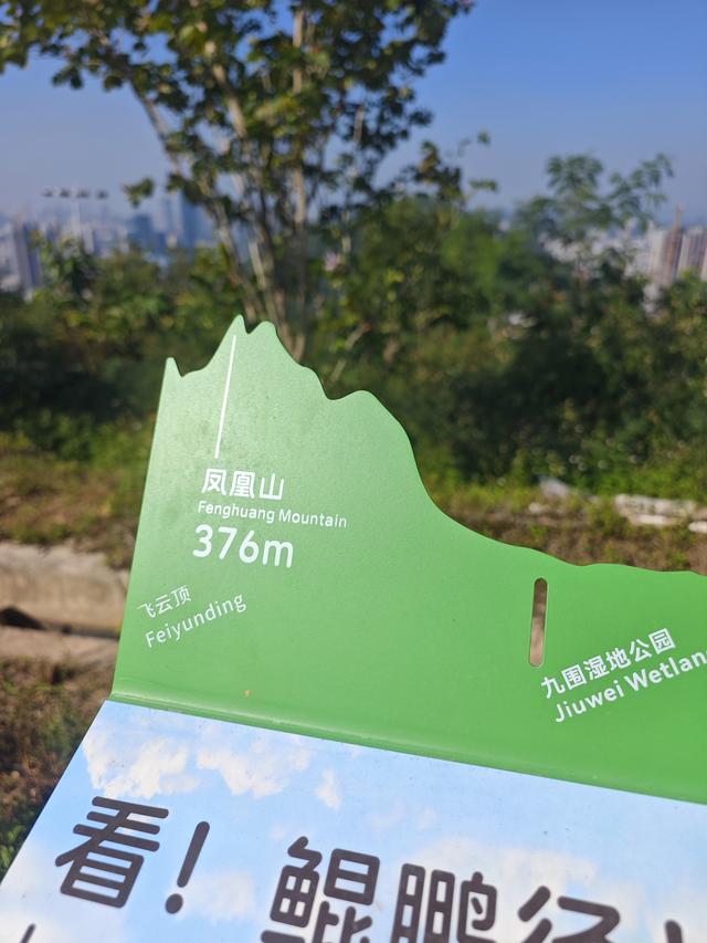 塘朗山郊野公园[绿平二路入口]骑行爬坡好地方