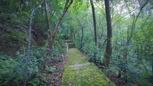 綦江区神秘的乐园旧址，杂草丛生满目荒芜，为何被废无人知晓