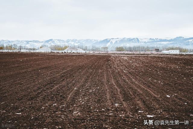 “上午小寒是暖冬，下午小寒冻死牛”，今年小寒几点？有啥说法？