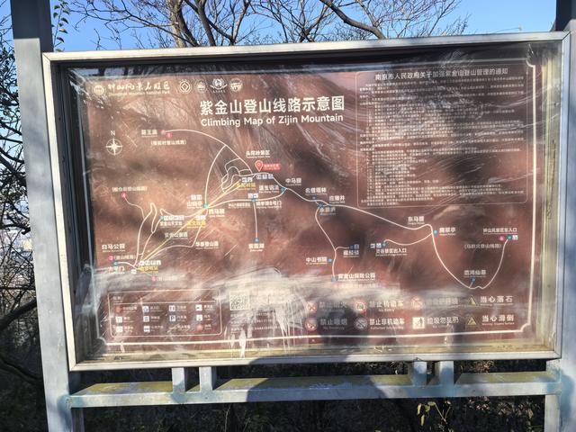 南京紫金山郊野徒步