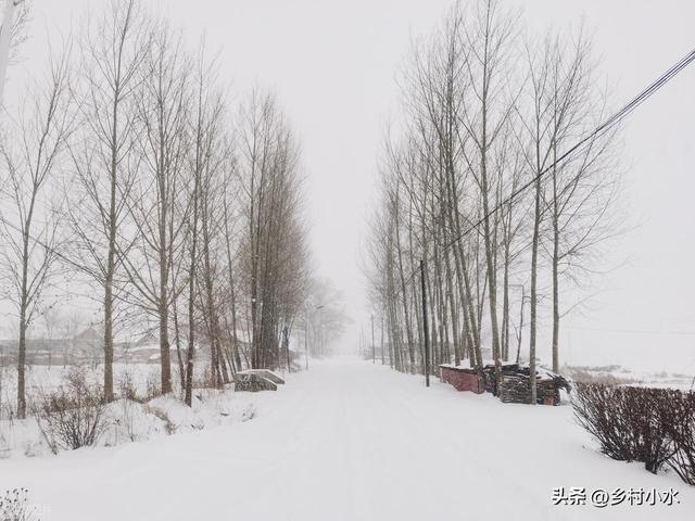 今日冬至，老人说“冷不冷，就看冬至”，今年冬天是暖冬吗？
