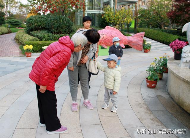 携老伴虹桥花园赏菊（上）
