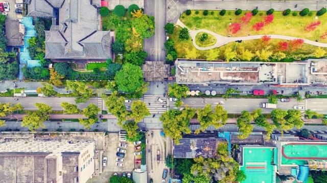 发现·公园城市 | 回家路上的露天“博物馆”