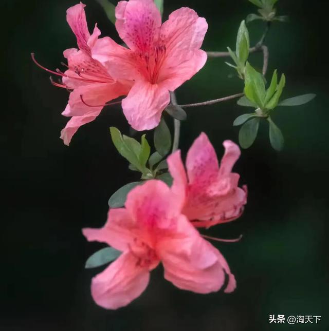 退休了，有钱有闲，你愿意去旅游吗