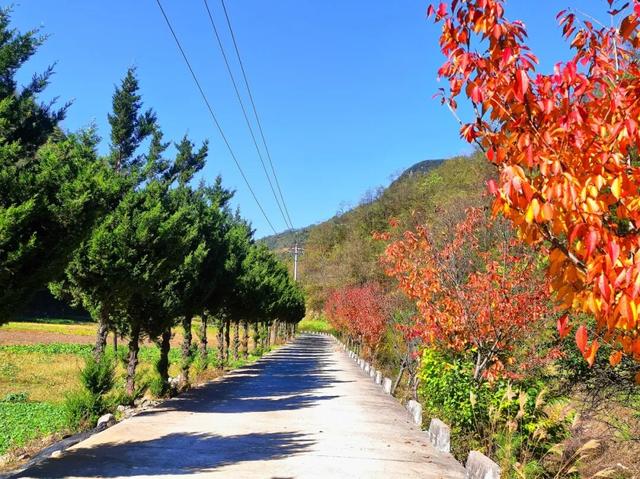 让我再看你一眼🧡