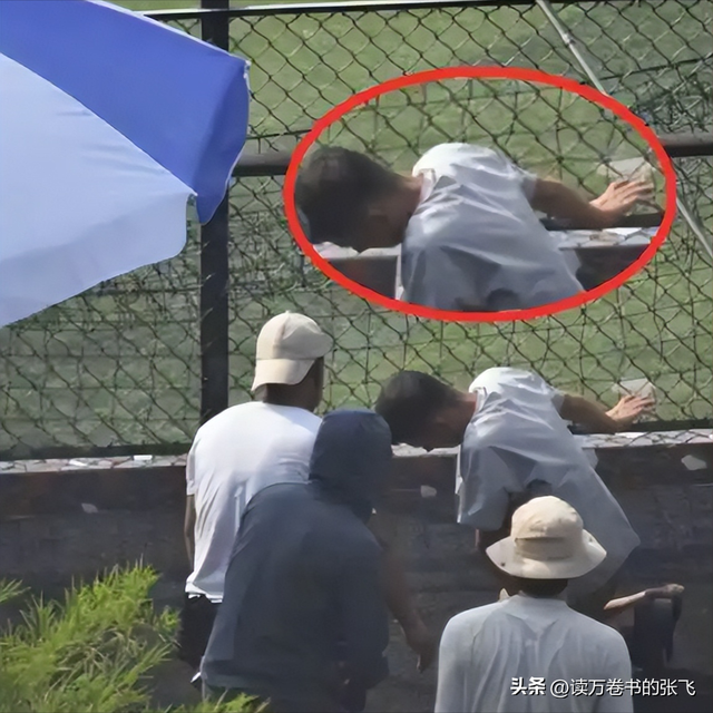 马伊琍没撒谎！离婚6年后，“老病复发”的文章	，再次证实她眼光