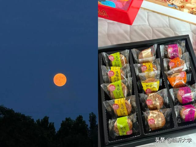 这个假期，LYUers怎么过?
