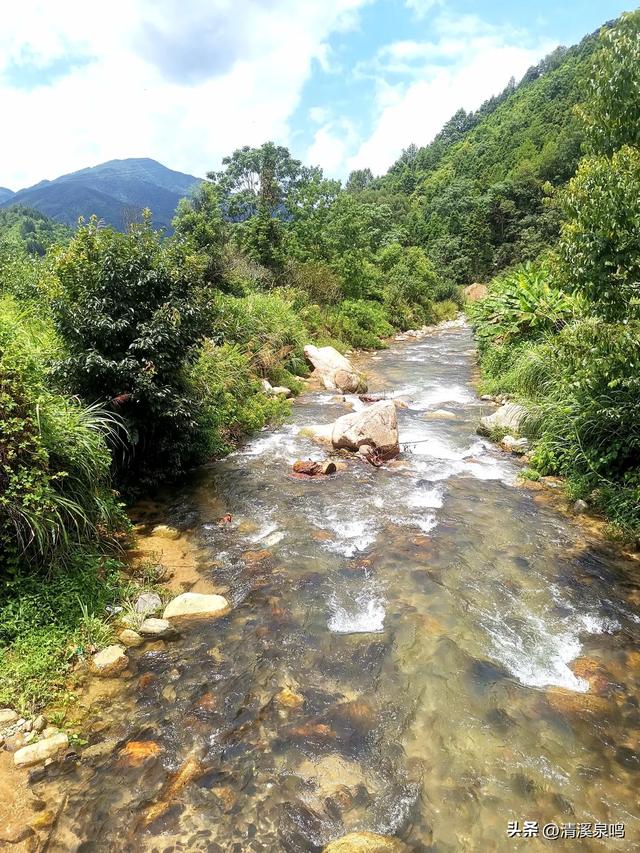 溪山环处的旧影与新绿共长——记柏树下村