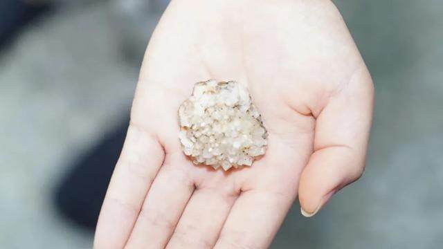 对接会成效 丨 金山地质博物馆五十载厚积薄发，聚力打造博物馆集群
