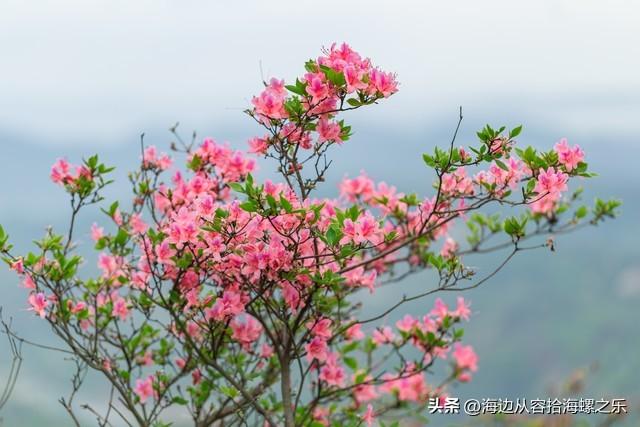 两性之间，女人愿意让你摸她这两个地方，其实就是在默默表白