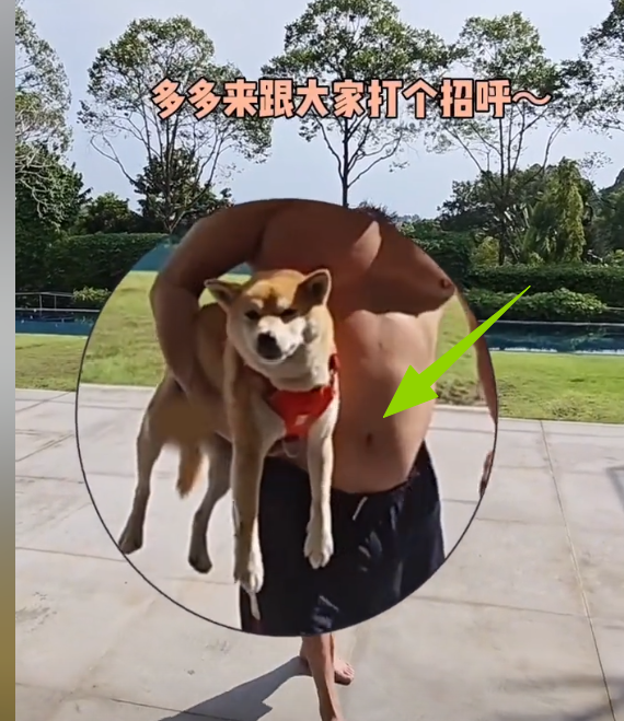 62岁李连杰豪宅游泳，脱光上衣自证清白，大腹便便并无刀疤