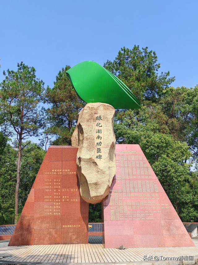 开着房车去流浪：打卡湖南省植物园