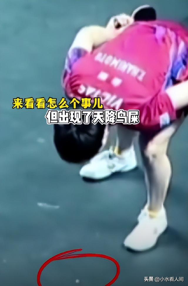 国乒夺冠连夜“逃离”印度，个个表情失控，王皓老婆一句逗笑全网