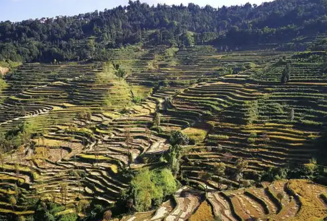 被红河州遗忘的明珠！红河县藏着马帮传奇，暖冬旅居绝了