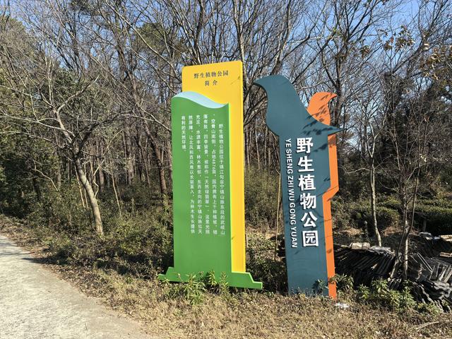 南京第二次到镇江武岐山空青山郊野徒步