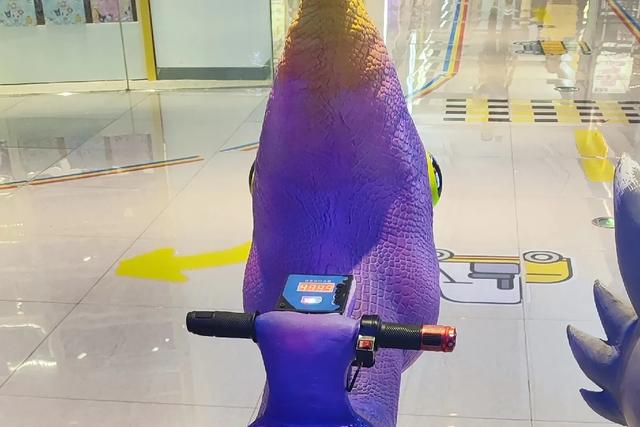 在游乐场附近，能够看到什么呢？