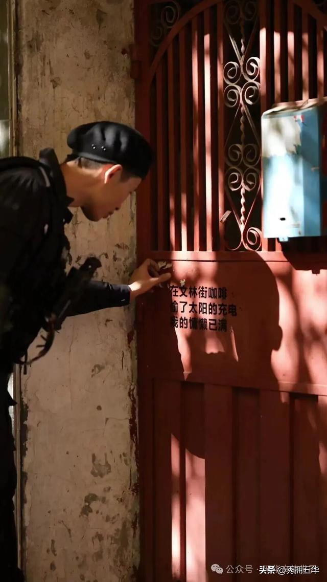 赏银杏、会海鸥，邂逅一场丰容的“昆明式暖冬”