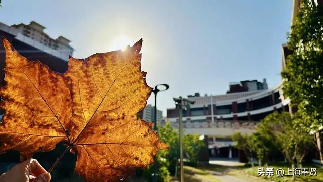 奉浦校园初冬美景大赏，你家娃的学校藏着这样的冬日浪漫
