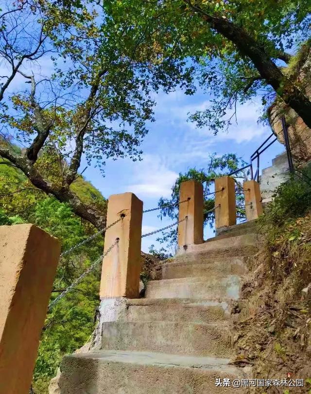 西安“热情”上热搜？么事！黑河国家森林公园让你感受山间清凉一“夏”