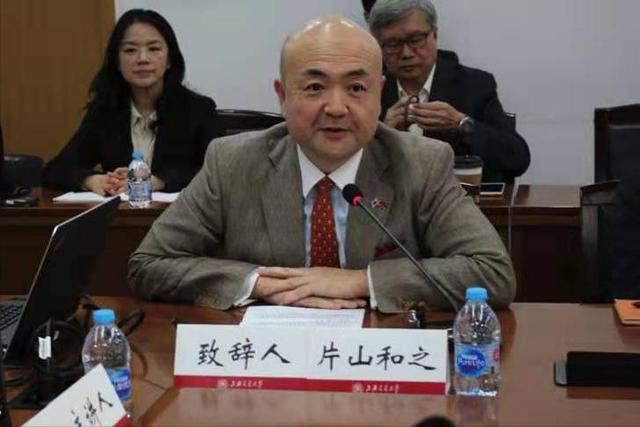 郑丽文果然高明：美日德都找到她，她马上就派人给大陆带了一句话