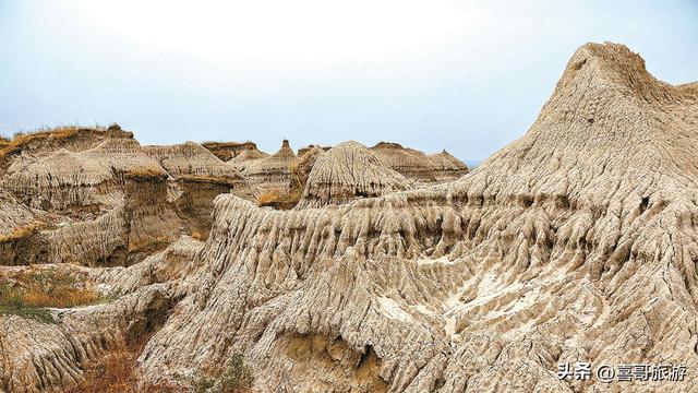 乾安泥林记：大地失序的褶皱，或时间的另一种形态