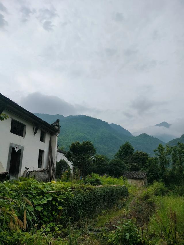 牯牛降半日禅（三）：白石岭篇