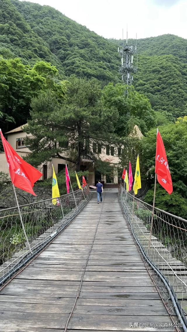 强烈推荐！适合全家出游的避暑胜地，清凉舒适风景美！