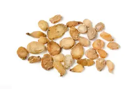 吃完饭就困，阳气“不升”！张仲景老方子，升阳气治犯困，请学习图片