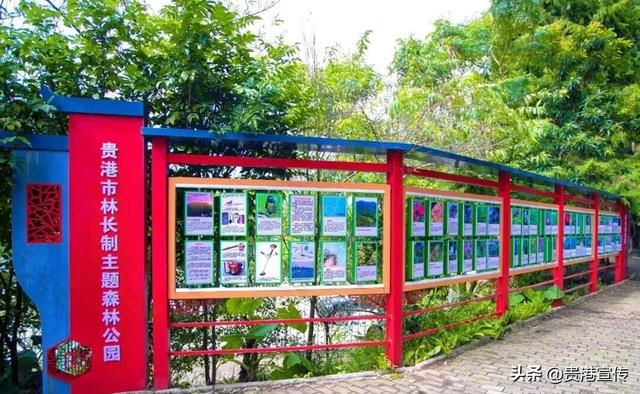 好消息！贵港一个新的主题植物园建成开放！