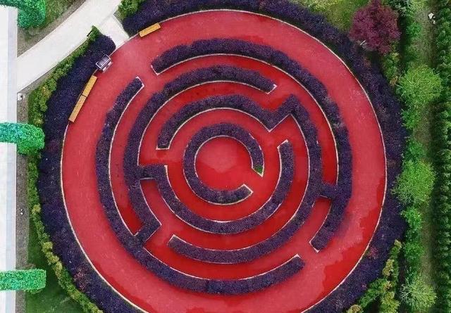 江波 I 谁在迷宫里埋下梦幻的密码