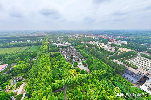 山西汾阳：多彩乡村醉游人
