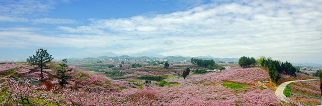 四川省简阳市历史沿革及行政区划