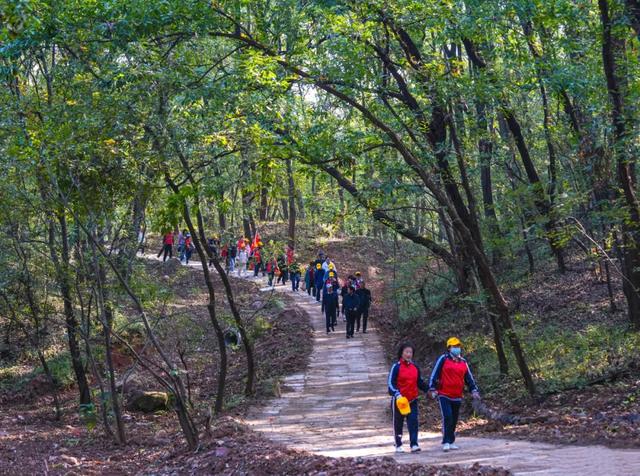 明光徒步新选择！