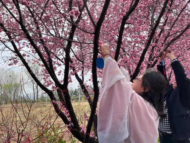 “齐鲁天路”诸城段景点（八）：永辉乡间生态园