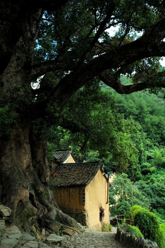 逛古村，喝咖啡，高端的度假就是这么朴实无华