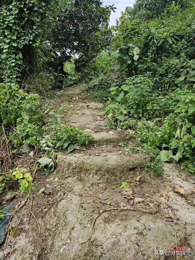 龙场九驿纪行丨归化驿：历史风雨演绎交通蝶变