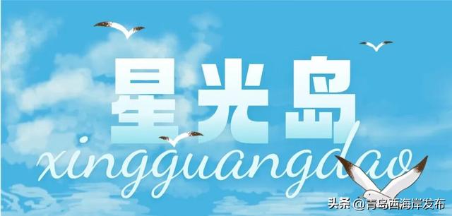 “鸥”耶！西海岸来了一批“老朋友”！