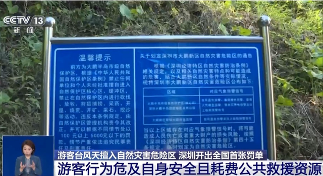 活该！首张罚单开出，每人5000元！网友：建议全国推广！